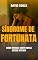 Livro SÍNDROME DE FORTUNATA: AMAR DEMAIS QUEM NUNCA ESTEVE INTEIRO (SÍNDROMES INVISÍVEIS)