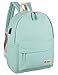 Veenajo Canvas Classic Backpack for School Travel Daypack Laptop Backpack with USB Charging Port (]Light Green)