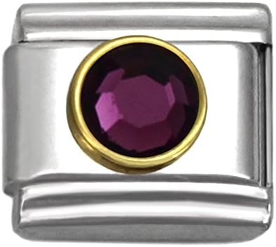 Birthstone Italian Charms by Month 9 mm Stainless Steel Bracelet Link (February)