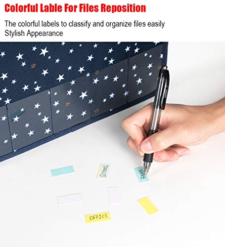 Expanding Files Folder with Cover, 13 Pockets Accordion A4 Documents File Bill Letter Organiser, Plastic Portable Filling Storage with Big Capacity Expandable Wallet Stand