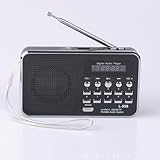 Mfine Portable Mini USB FM Radio Speaker Music Player TF Card For PC iPod Phone (938 Black)