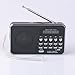 Mfine Portable Mini USB FM Radio Speaker Music Player TF Card For PC iPod Phone (938 Black)