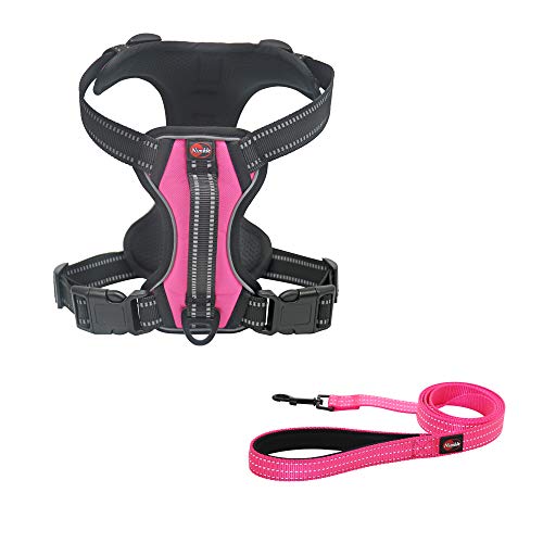 Dog Harness No Pull Dog Vest with Leash Adjustable & Reflective Pet Vest Harnesses and Leash Easy Control for Small Medium Large Dogs (Small, Pink) - Thumbnail 7