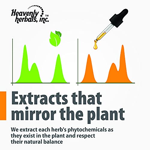 Passiflora Fusion Drops Passionflower Natural Mood Enhancement