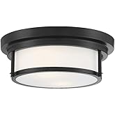 Meridian M60062MBK Flush Mount, 2-Light 120 Total Watts, Matte Black
