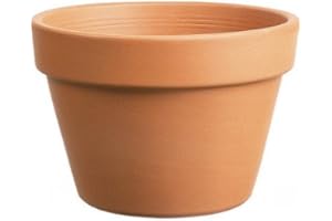 Southern Patio TC0812AZ 8 in. Azalea Clay Pot44; Terra Cotta
