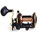 Sougayilang Round Baitcasting Fishing Reel for Catfish, Salmon/Steelhead, Striper Bass, Pike,Inshore Surf Fishing Reels, Conventional Reel