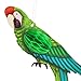 Juvale Hanging Parrot Paper Honeycomb Decorations for Tropical Birthday Party (6 Pack)