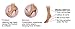 Footminders Catwalk - Slim Fit Orthotic Arch Support Insoles for High Heel Shoes, Pumps, Sandals and Boots (Pair) (X-Small: Women 5½ - 6½) - Relieve Foot Pain Due to Wearing High Heels