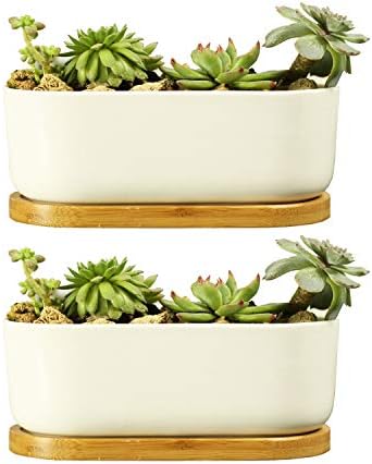 6.5 inch Ceramic Rectangle Succulent Planter with Bamboo Saucer Tray, Set of 2, White Modern Indoor Cactus/Flower Plant Pot with Drainage, Decoration for Desks/Bookshelves / Window Sills (B)
