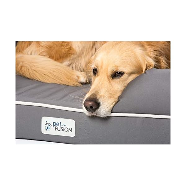 certipur dog bed