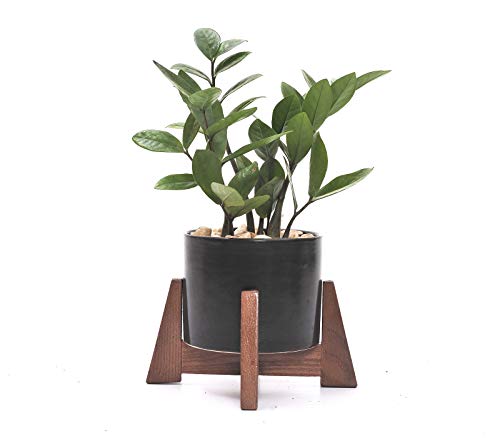 Mid Century Plant Stand – Wood Table Top Plant Stand Mini Flower Pot Holder for Succulent Cactus Small Plant Home Office Desk Decoration – Apollo – Fits up to 6.5” Planter (Planter NOT Included)