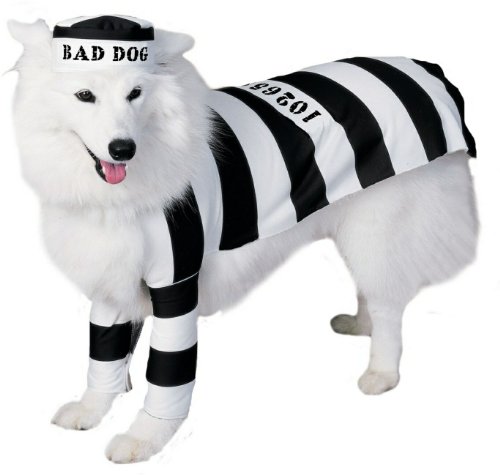 Prisoner Pet Costume
