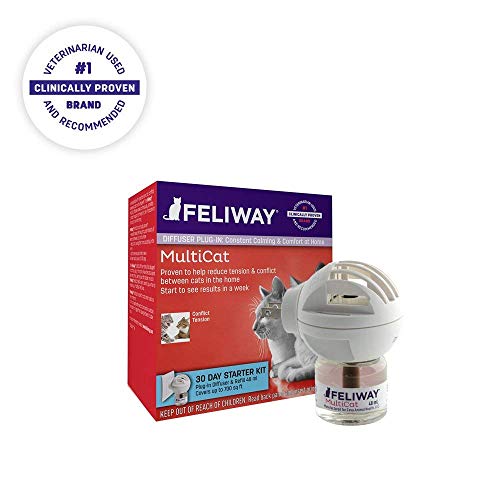 FELIWAY MultiCat Starter Kit for Cats (Diffuser and 48 ml Vial) (Premium pack)
