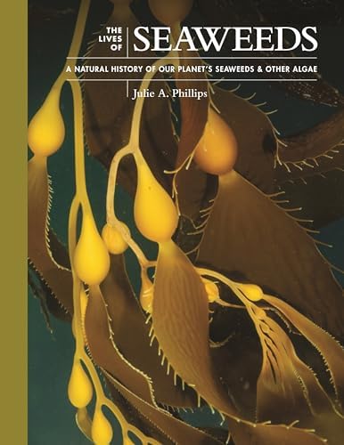 Amazon.com: An Ocean Garden: The Secret Life of Seaweed