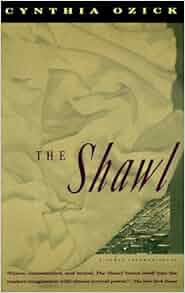 The shawl book picture