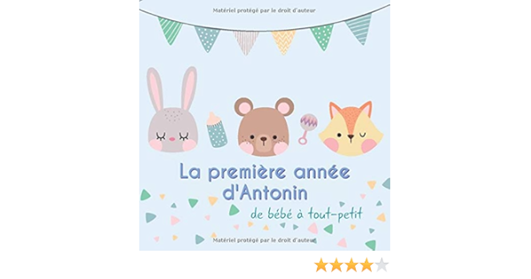 La Premiere Annee D Antonin De Bebe A Tout Petit Album Bebe A Remplir Pour La Premiere Annee De Vie Album Naissance Garcon French Edition Publishing Babymemories Fr Amazon Com Books