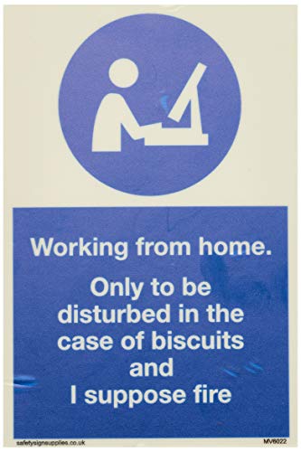 Arbeiten von zu Hause. Only to be disturbed in the case of biscuits and I suppose fire