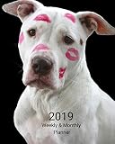 2019 Weekly and Monthly Planner: White Pitbull with Lipstick Daily Organizer -To Do -Calendar in Rev by All In A Day