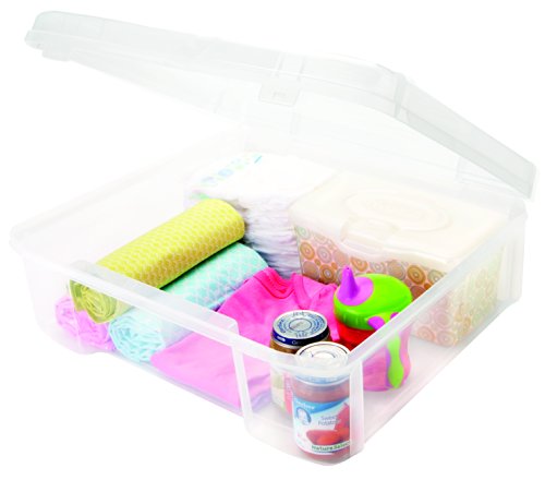 1 IRIS+Portable+Project+Case+Paper