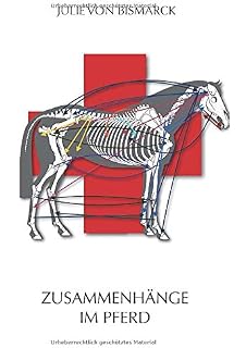 Zivilisationskrankheiten Beim Pferd Amazonde Christina - 