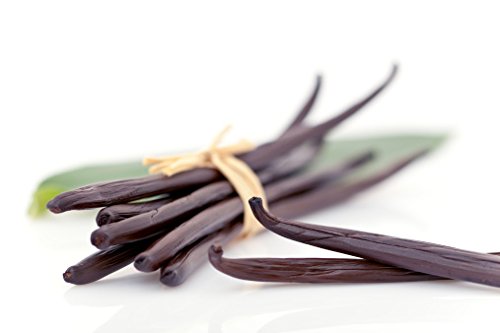 FRENCH VANILLA TYPE FRAGRANCE OIL - 8 OZ - FOR CANDLE & SOAP MAKING BY FRAGRANCEBUDDY- FREE S&H IN USA