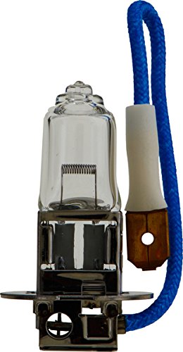 Philips H3-100W Standard Fog Bulb (Pack of 1)