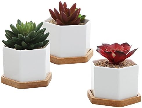 JDWNF 2.8 Inch Hexagonal Flower Pots/Cactus Pot/Succulent Pots for Home Office Window Boxes (Package 1 Pack of 3)