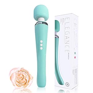 Therapeutic Personal Wand Massager USB Charging Cordless 8 Speeds and 20 Modes Suitable for Neck Back Leg and Other…