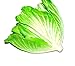 Generic Faux Lettuce Artificial Vegetables House Kitchen Party Decor Great Quality 2 Style
