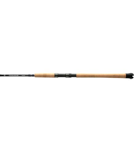 Amazon.com : Shimano 21 TwinPower SW 5000HG : Sports & Outdoors