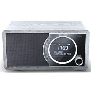 SHARP DR-450 (GR) DAB, DAB+ digitale radio, Bluetooth, FM-radio, alarm-/slaap- en snooze-functie, houtlook, grijs