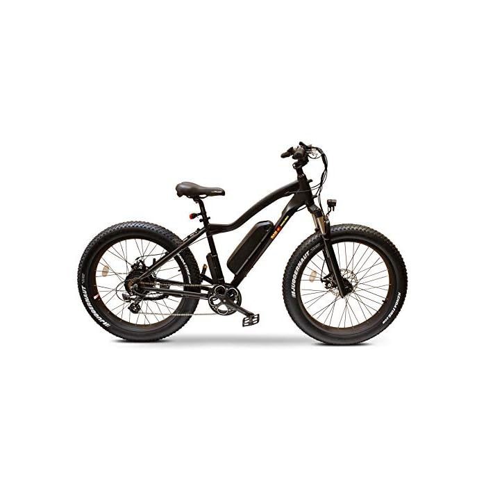 Buy BAM EWNomad All Terrain Long Range Electric Bike for Adults 750W
