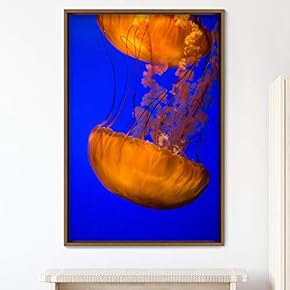 signwin Framed Canvas Wall Art Jellyfish Bedroom Colorful...