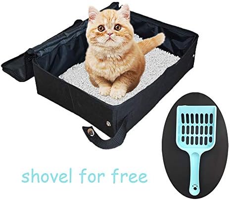 akc australian labradoodle