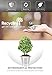 BRBHOM Stainless Steel Reusable Capsules Refillable Coffee Capsules Pods 2pcs Compatible for Nespresso Machines