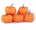 JEDFORE Fake Fruit Home House Kitchen Decoration Artificial Lifelike Simulation Mini Pumpkins Halloween Thanksgiving Day House Decoration - Set of 10 - Orange