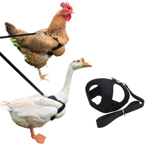 HOUGXD Adjustable Chicken Harness