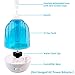Humidifier for Reptiles- Snake Humidifier Large Tank Terrarium Fogger Mister Ultrasonic Premium Quite Operation Automatic Shut-Off Ideal for Reptiles Amphibians and Herbs (3 Liter)