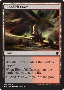Magic: the Gathering - Bloodfell Caves (229/269) - Khans of Tarkir