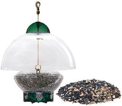 Amazon Com Big Top Squirrel Resistant Bird Feeder With Divine