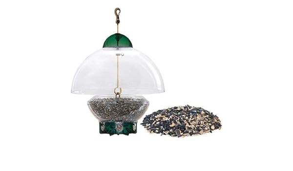 Amazon Com Big Top Squirrel Resistant Bird Feeder With Divine