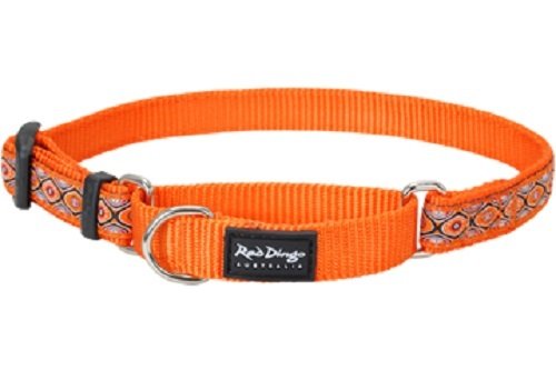 Red Dingo Martingale Snake Eyes 15mm Choke Collar, Small/Medium, Orange