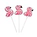 Flamingo Swirl Lollipops - 12 ct