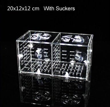 Aquarium Acrylic Assembled Dual Fish Tank Isolation Box (sucker version) 20x12x12cm