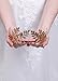 fxmimior Handmade Bridal Wedding Crown Leaf Headband Women Crystal Tiara Headpiece (GOLD) (gold)