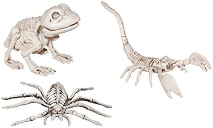 Assorted Animal Skeleton Halloween Party Decorations, Set of 3