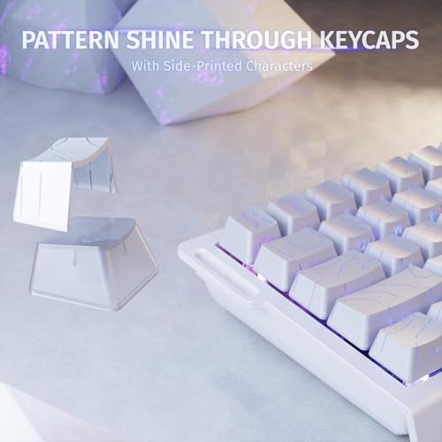 ATTACK SHARK X68 HE Teclado mecânico para jogos de gatilho rápido 60% com fio e atuação ajustável,interruptor magnético de efeito Hall,taxa de pesquisa de 8 KHz,retroiluminação RGB(Contorno Branco)