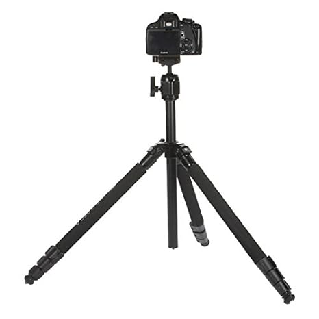 Pro Fancier WF-6662A Rotula de trípode para cámara réflex digital ...