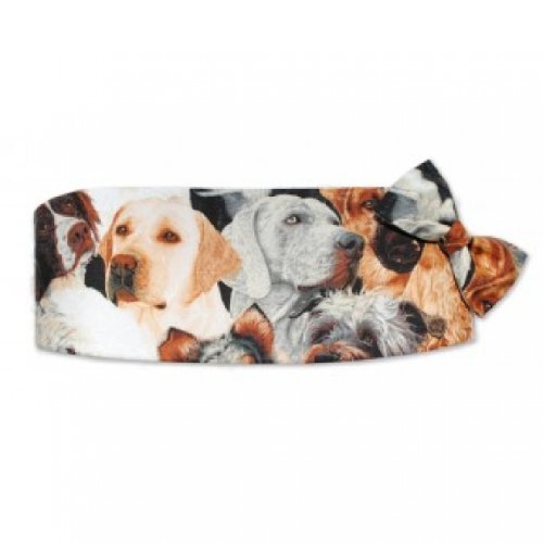 Best in Show Dogs Tuxedo Cummerbund and Bow Tie